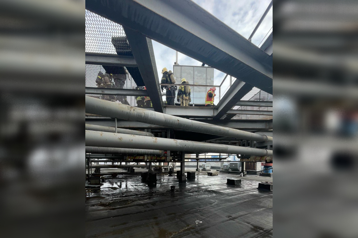    Фото: пресс-служба ТРЦ «Гринвич»