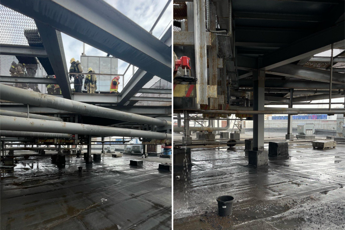    Фото: пресс-служба ТРЦ «Гринвич»