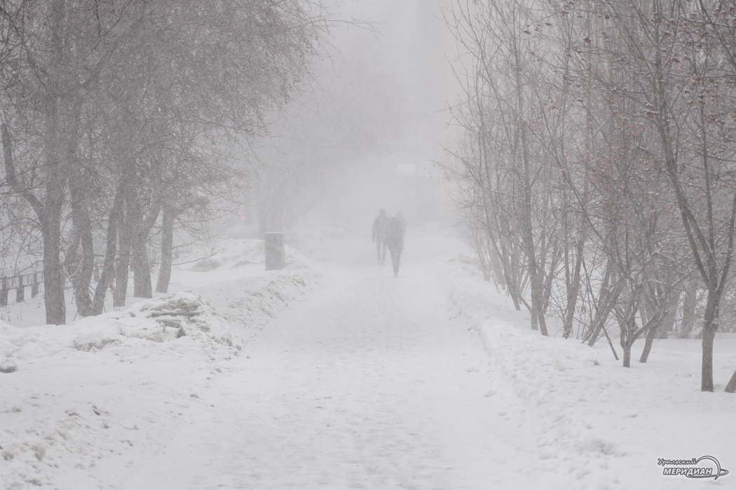    Фото: Лидия Аникина © ИА «Уральский меридиан»