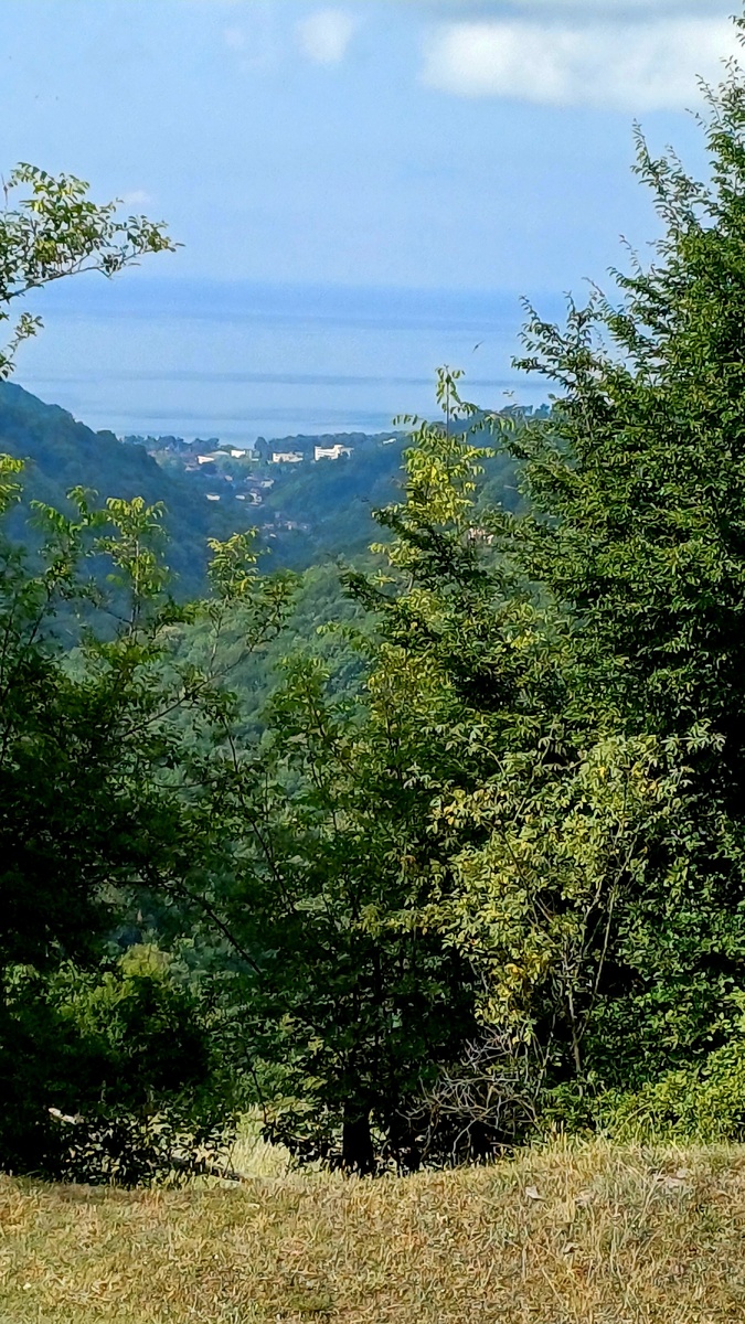 В горах Абхазии в районе Пицунды