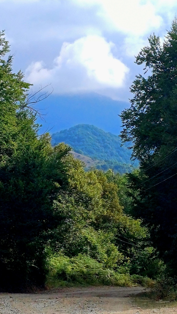 Горы Абхазии. Автор - Татьяна Федотова