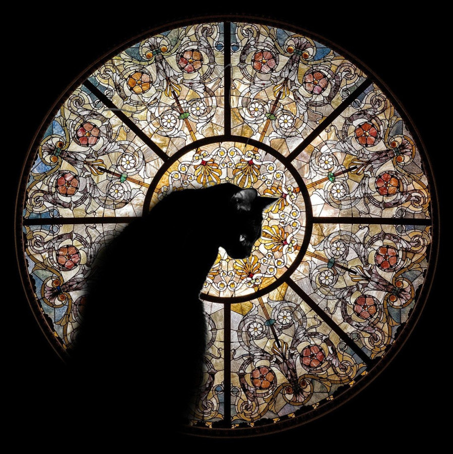 ��������: www.raphaelvavasseur.com