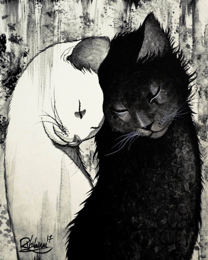 ��������: www.raphaelvavasseur.com