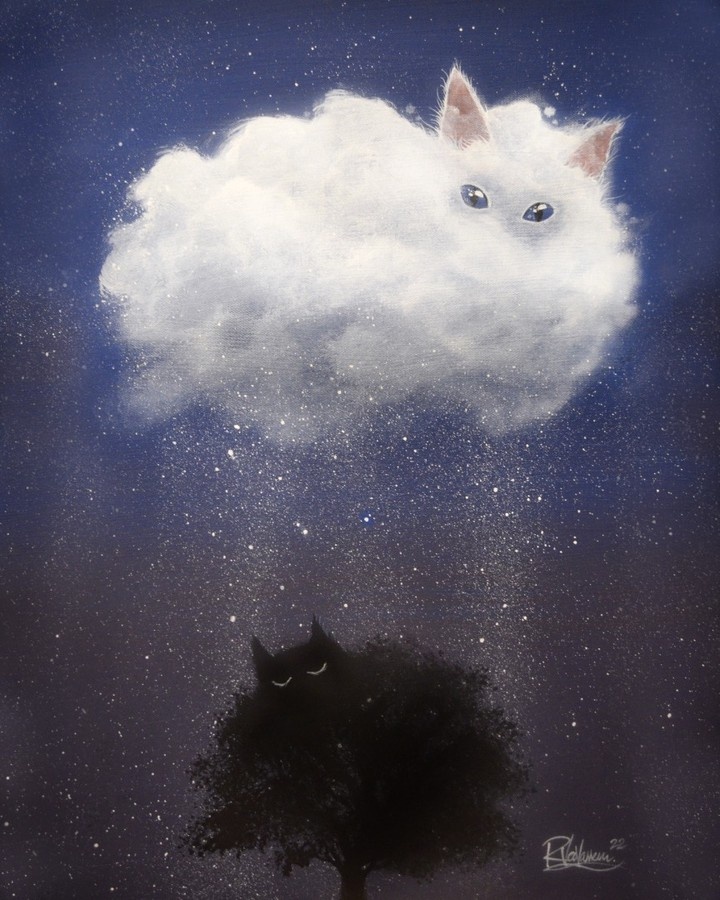 ��������: www.raphaelvavasseur.com