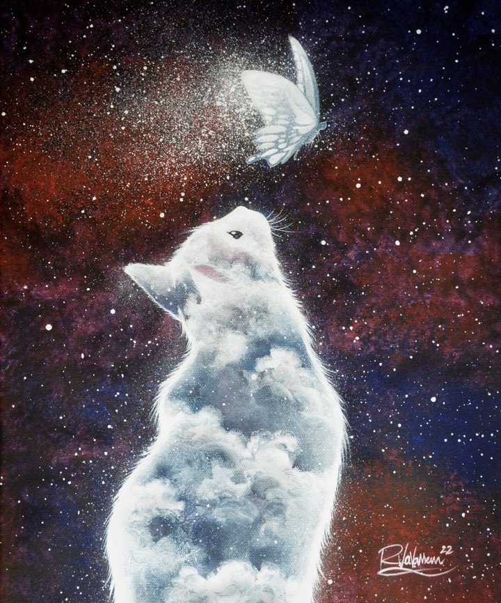 ��������: www.raphaelvavasseur.com