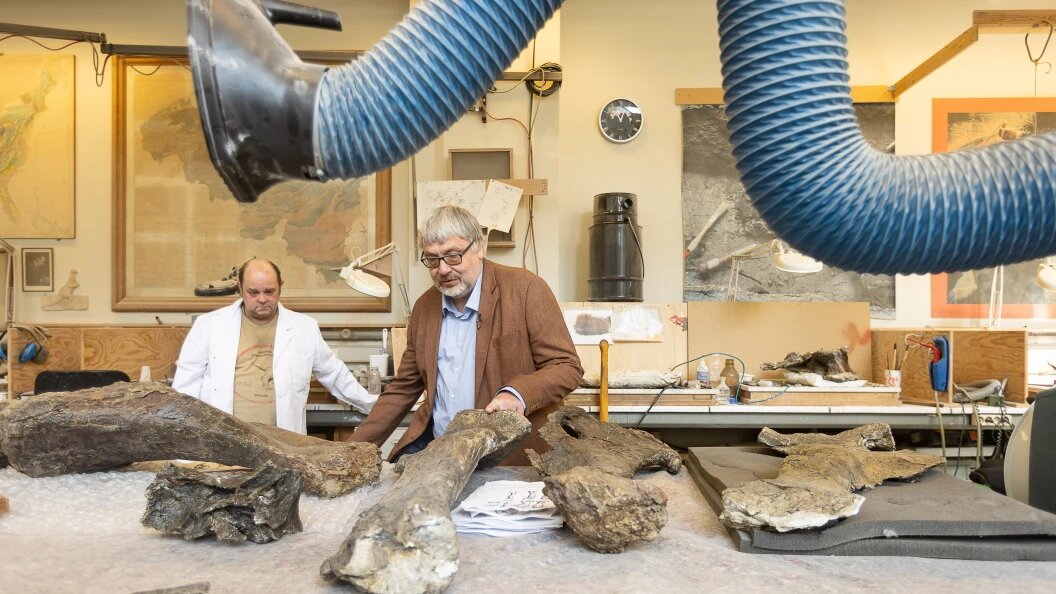    Фото: James Arthur Gekiere/Belga News/Globallookpress