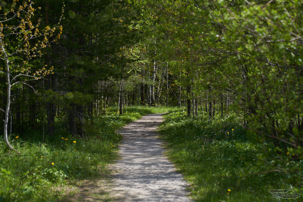    Фото: Лидия Аникина © ИА «Уральский меридиан»