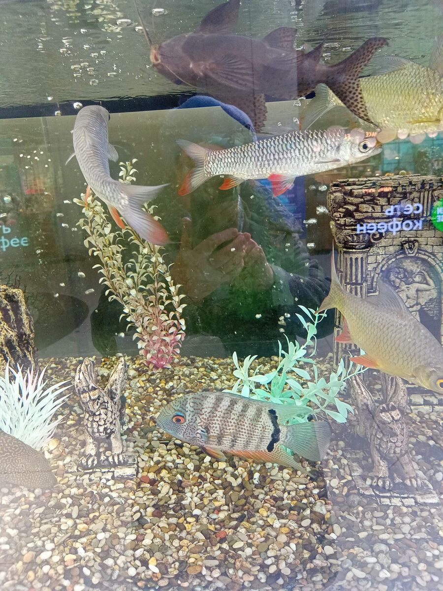 Фото автора