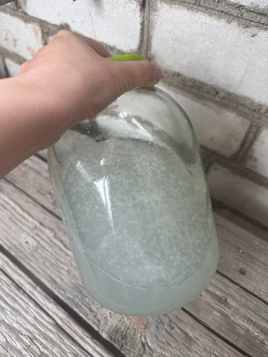 Забродивший березовый сок.