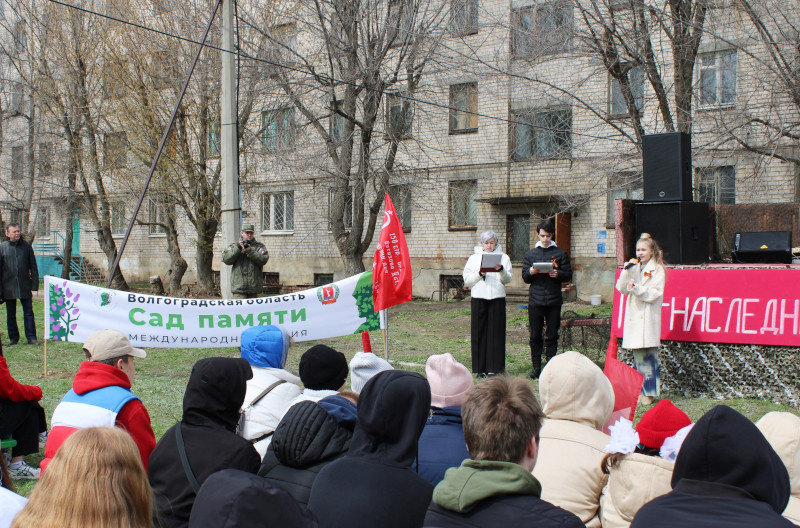    Камышин. Акция «Сад памяти» (фото: Камышинский политехнический колледж)