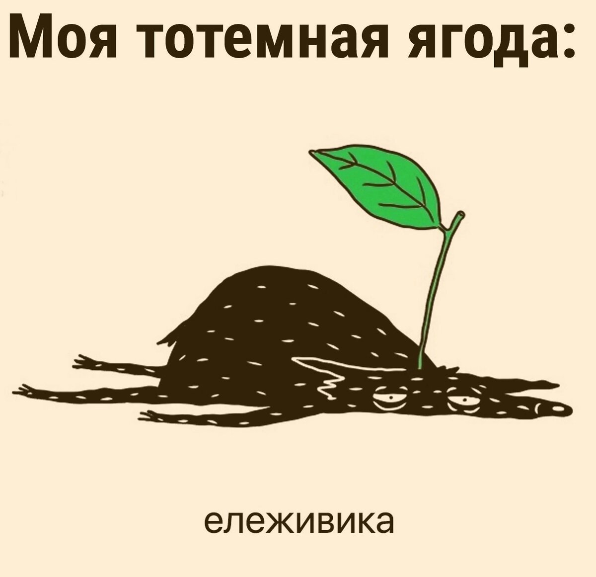 Источник фото Яндекс Картинки