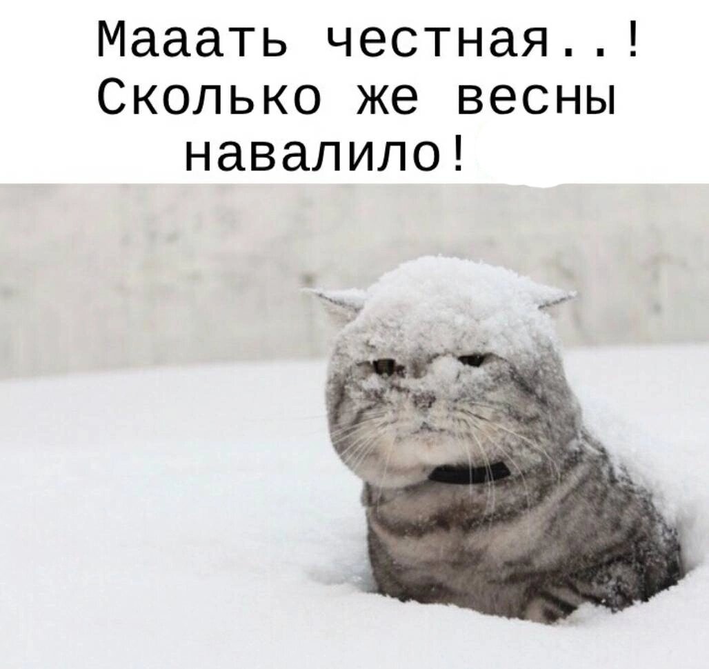 Источник фото Яндекс Картинки