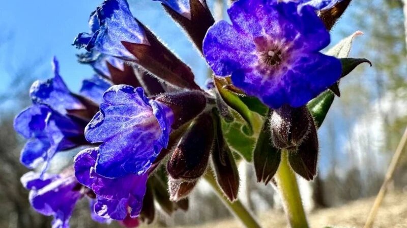     Природа раскрасила берега Золотого озера в яркие цвета. Биосферный заповедник