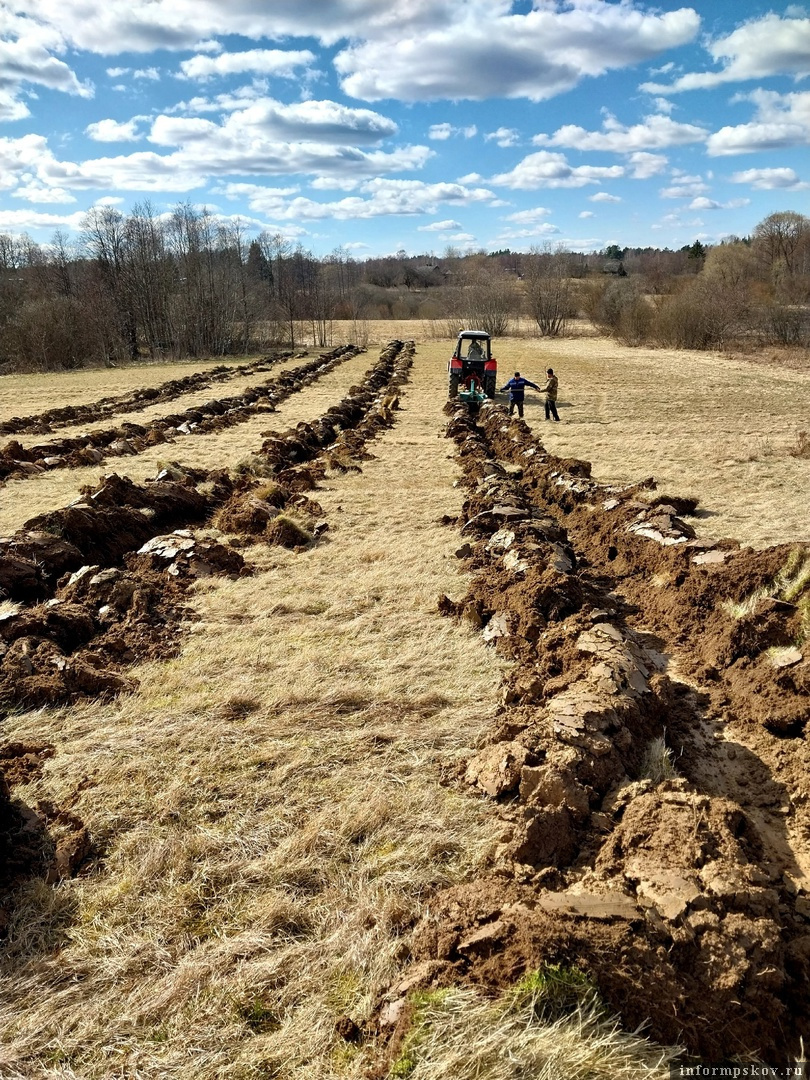 Каналы под посадку голубики. Фото здесь и далее: газета «Призыв»