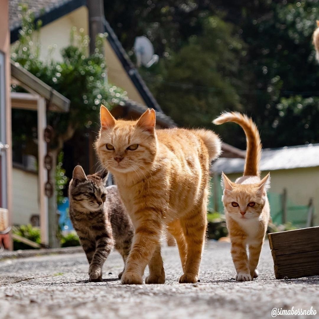 Фото: sun6-22.userapi.com