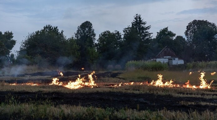   Изображение от pvproductions на Freepik