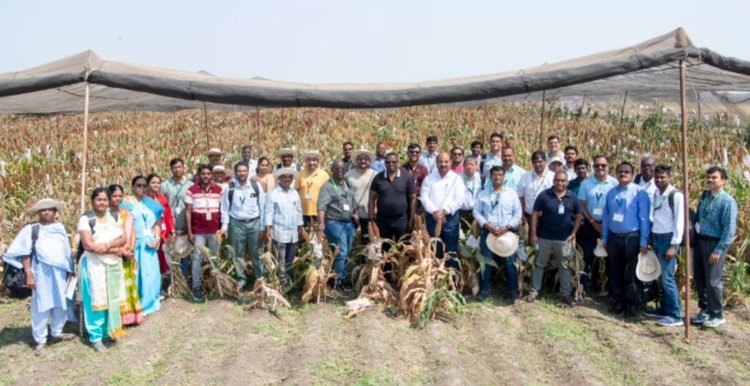    На Дне полевых исследований ученых-сорговедов ICRISAT представили 13 000 передовых селекционных инноваций