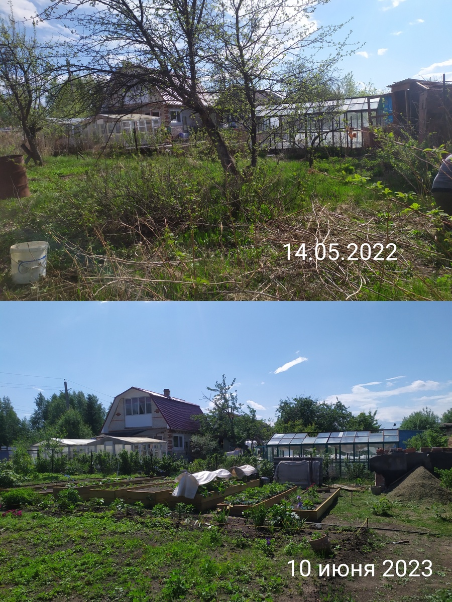 Личное фото автора канала. 2022-2023 годы