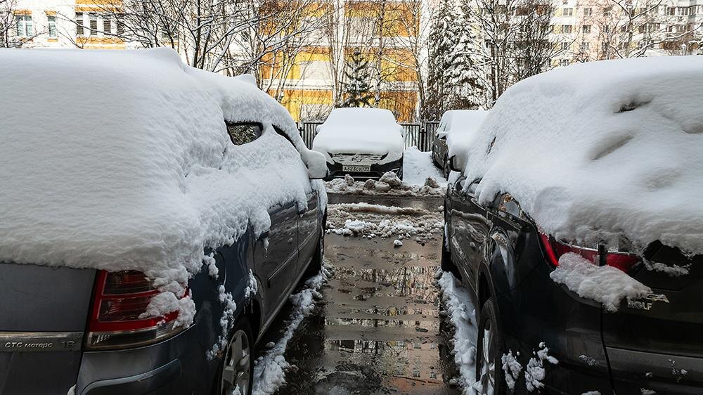    Фото: Roman Denisov/Global Look Press