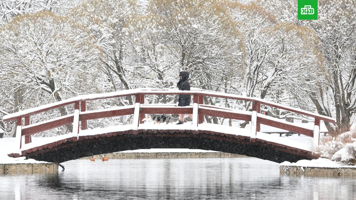    Фото: РИА Новости © 2025, Владимир Астапкович