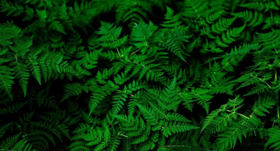    unsplash.com