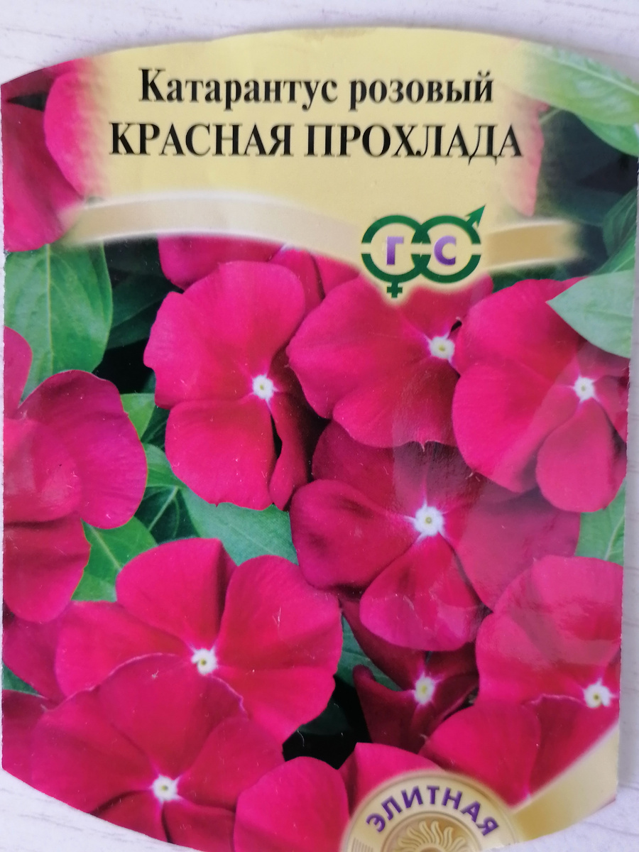 Разве пройдёшь мимо?