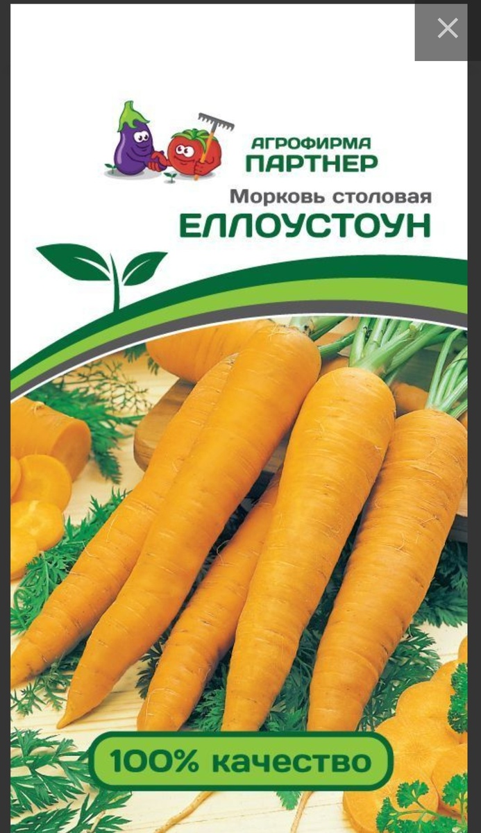 Морковь Еллоустоун