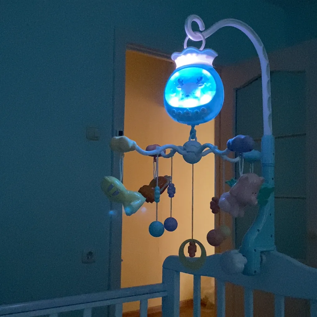 Фото автора. Первая покупка-ошибка.