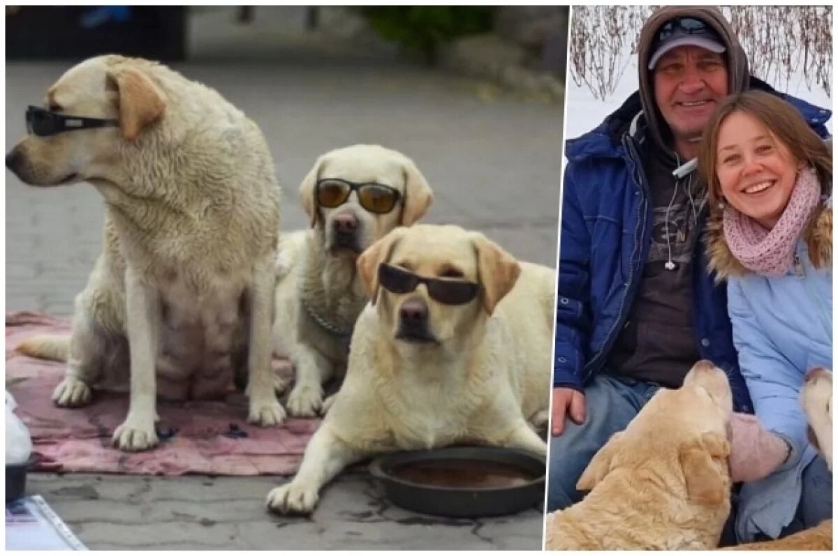    Хозяин лабрадоров в очках скончался в Новосибирске