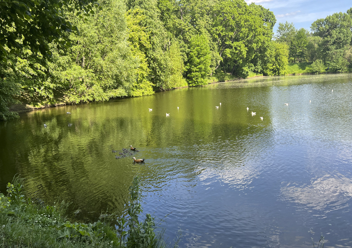 Фото © «Московская газета»