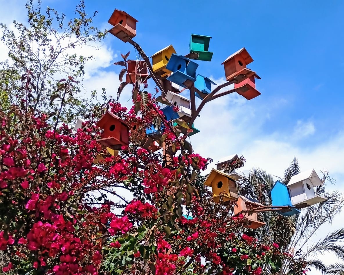 Чьи-то домики