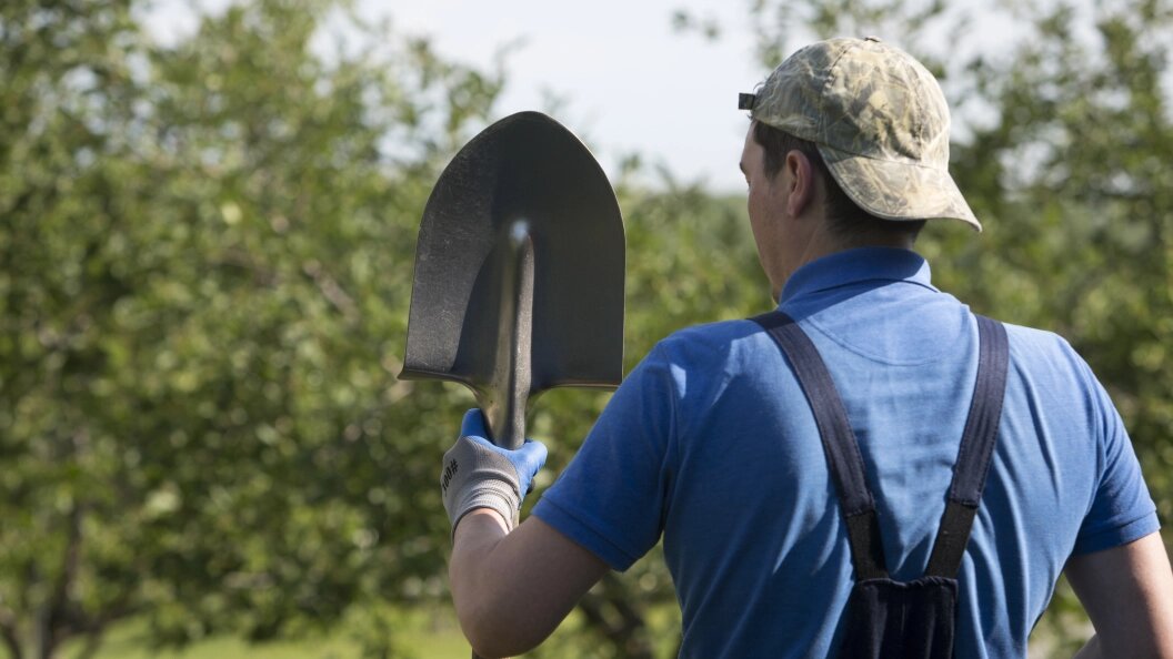    Фото: Nikolay Gyngazov/Globallookpress
