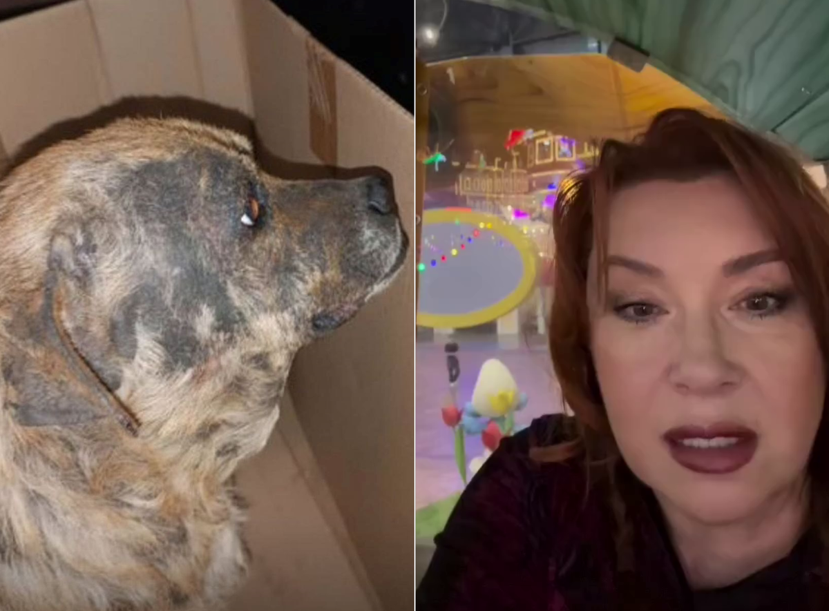 Фото: соцсети Веры Сотниковой