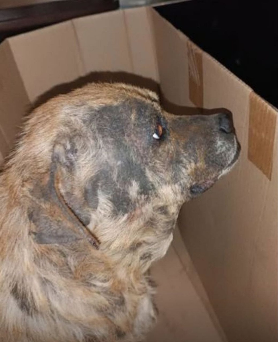 Фото: соцсети Веры Сотниковой