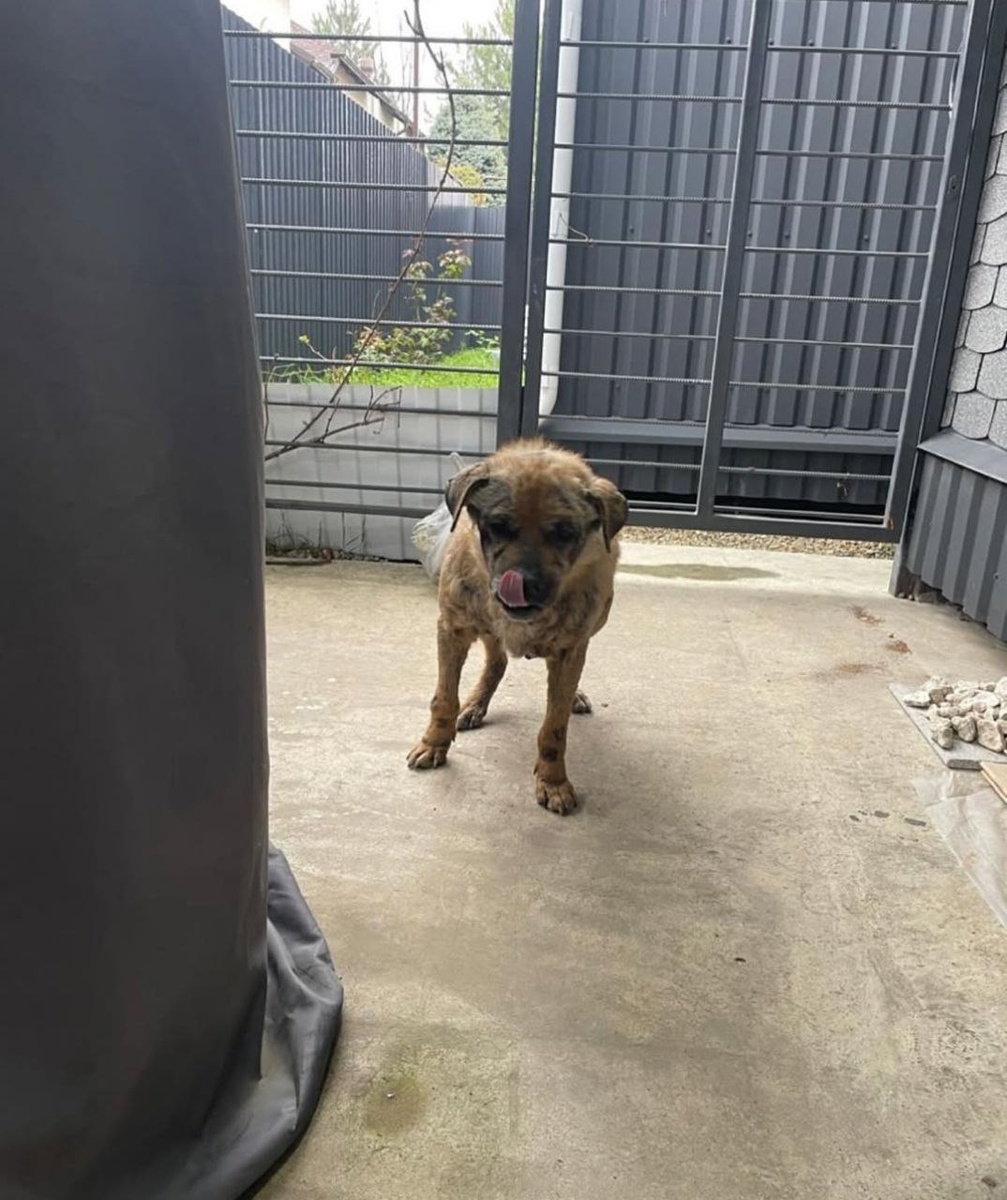 Фото: соцсети Веры Сотниковой