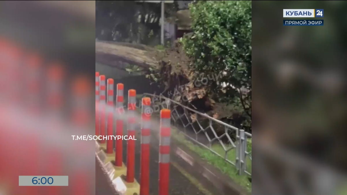    Видео канала «Кубань 24»
