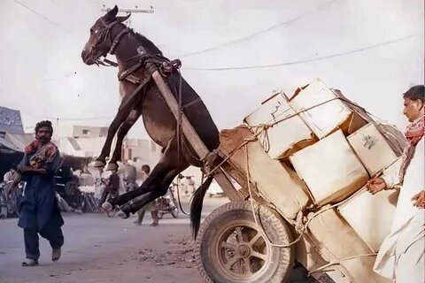 Ослик не справится , если его перегрузить