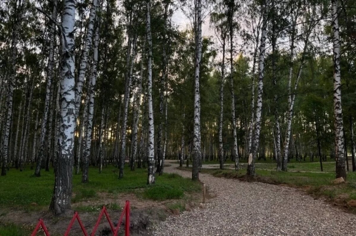    На следующей неделе в Ярославле на Соколе установят самолет