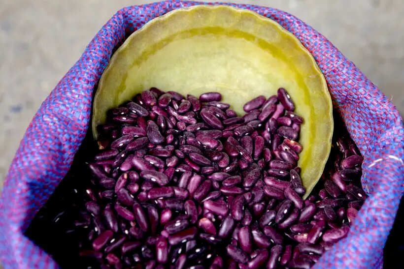     © Sputnik/РИА Новости. Наталья Айриян