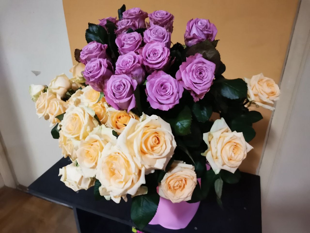     Красноярка пожаловалась на саженцы роз, цветы которых не соответствуют картинке