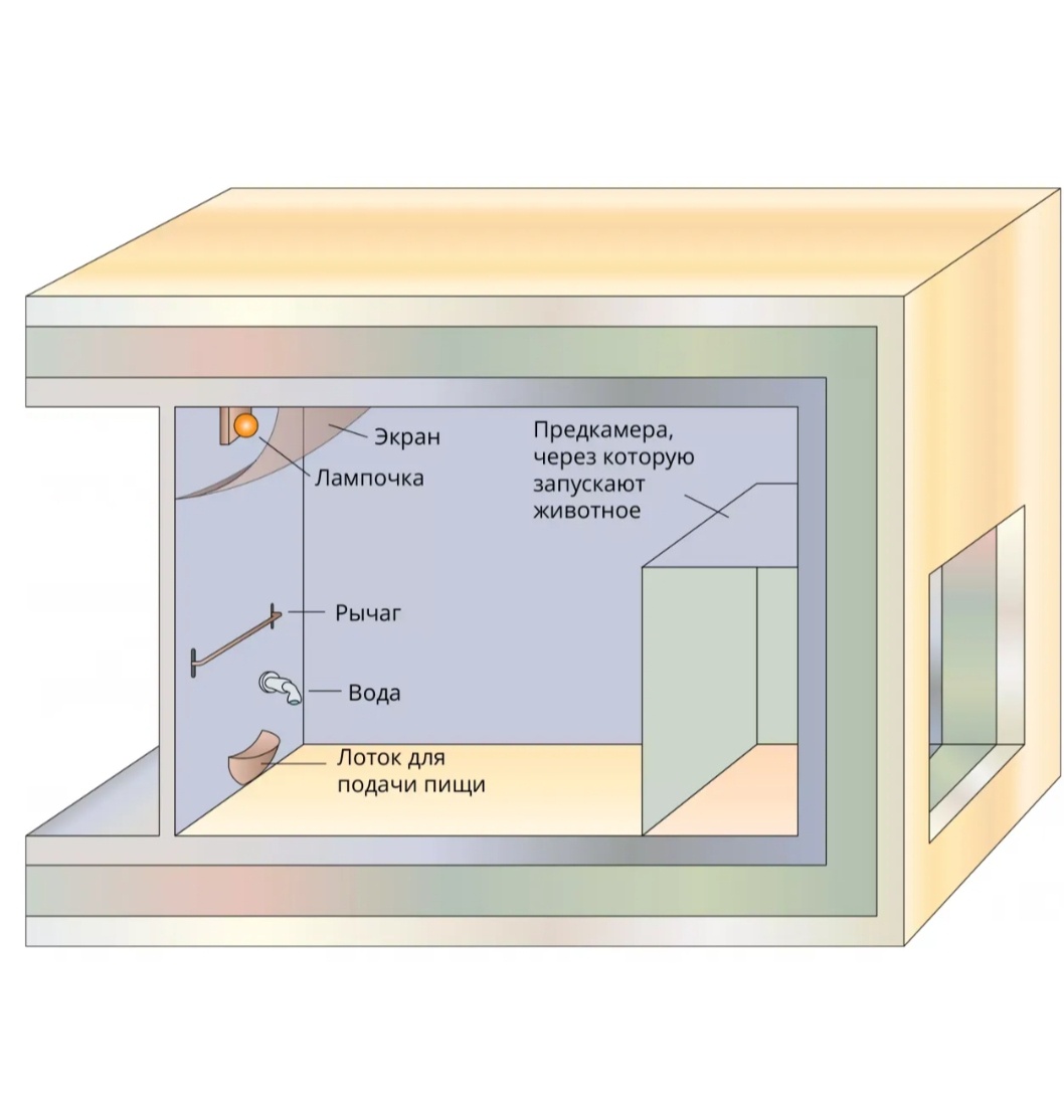 Лабораторный прибор для, изучения поведенческого анализа под названием "Ящик Скиннера".