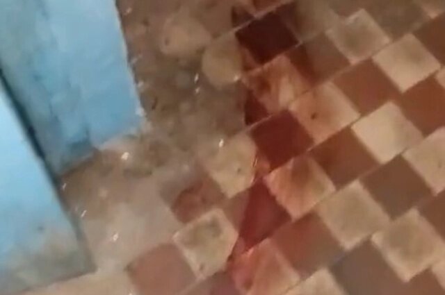    Кровавый след Фото: ПУЛЬС 27 | НОВОСТИ