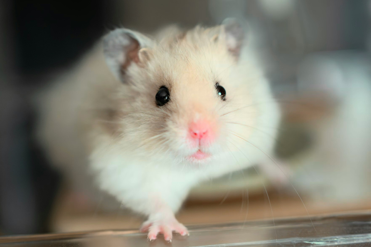 Photo by Zhaoli JIN on Unsplash