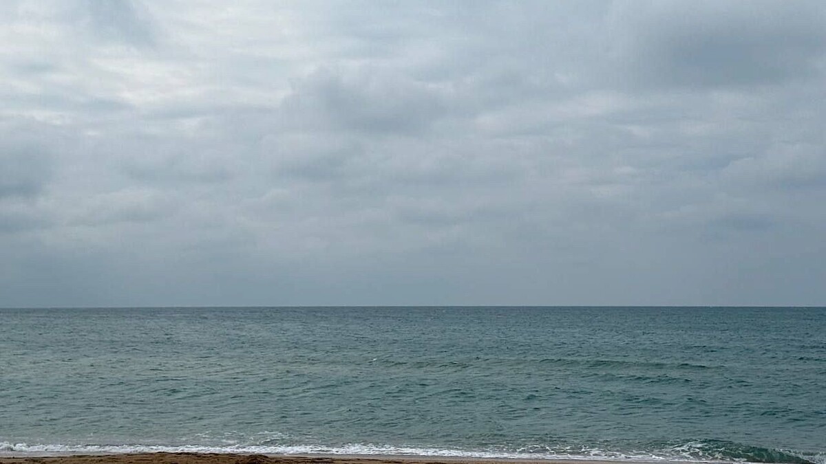    Фото: телеканал «Краснодар»