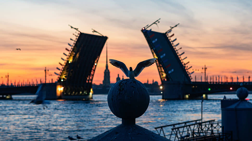 Фото: Игорь Никитин / Коммерсантъ