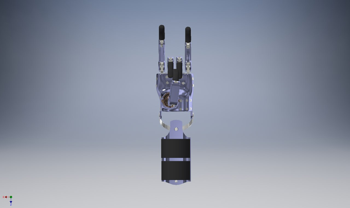 Фото: Виктор Семенов