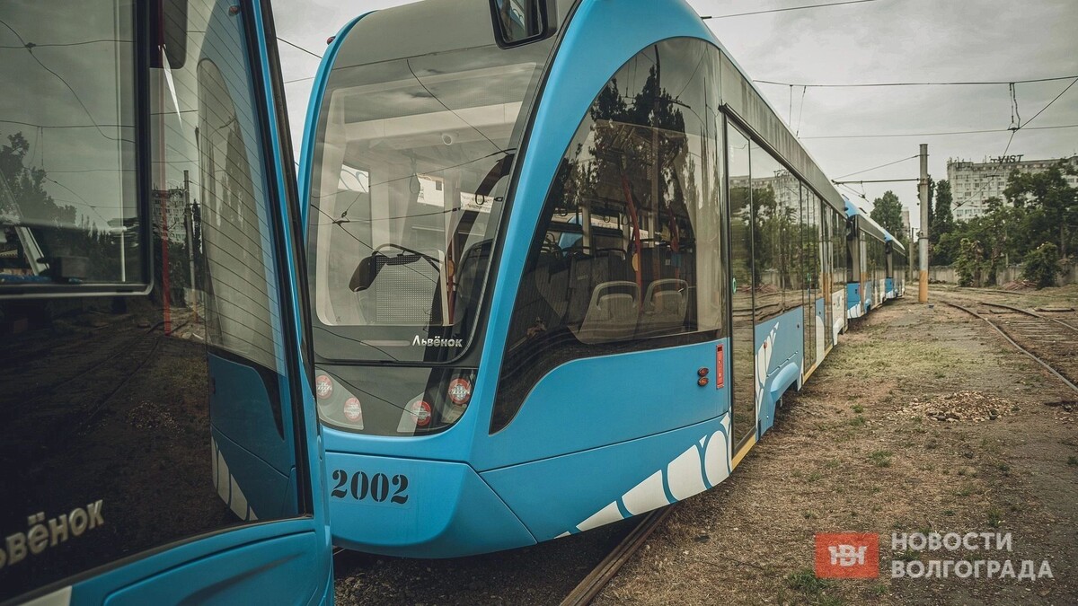     Источник: novostivolgograda.ru