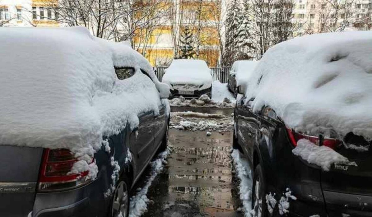     Снег на автомобилях. Источник: 78.ru Автор фото: Roman Denisov