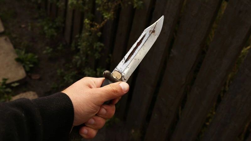    Фото: SergeyKPI/Shutterstock/Fotodom