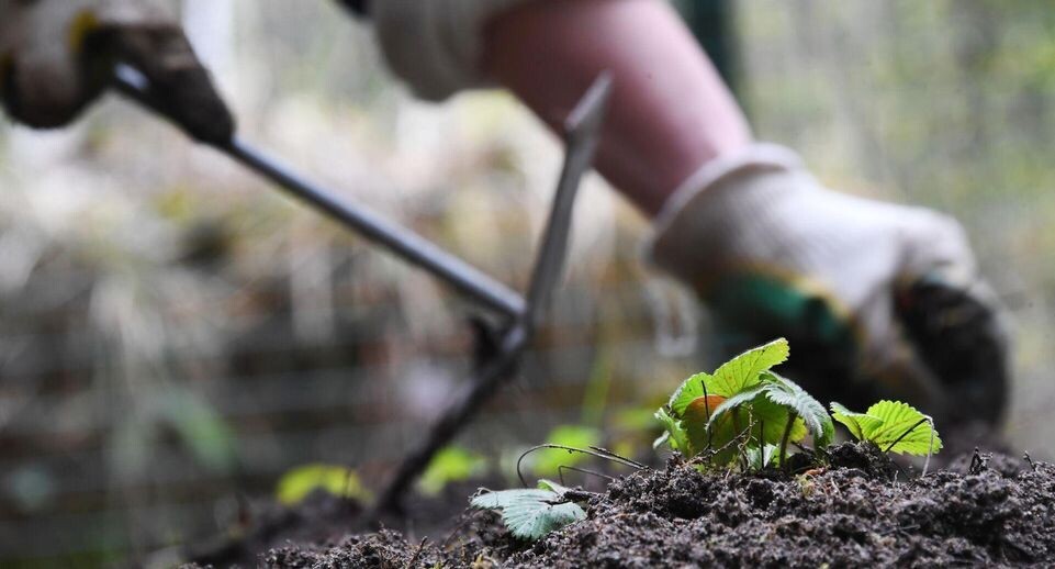    РИА «Новости»